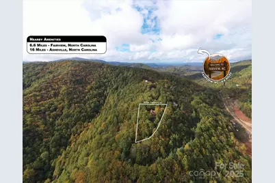 94 Davey Crockett Road, Fairview, NC 28730 - Photo 40