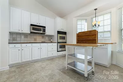 977 Platinum Drive, Fort Mill, SC 29708 - Photo 20