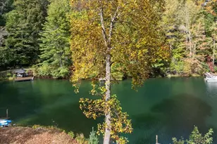 388 Inoli Cir, Brevard, NC 28712 - Photo 38