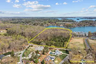 11 Serenity Cove Pl, Denver, NC 28037 - Photo 10