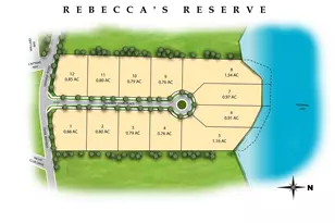 11 Serenity Cove Pl, Denver, NC 28037 - Photo 4