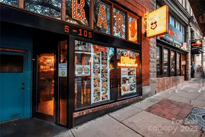 27 Walnut Springs Drive, Asheville, NC 28804 - Photo 46