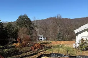 99 Arco Rd, Asheville, NC 28805 - Photo 4