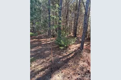 164 Blackburn Drive, Grover, NC 28073 - Photo 8