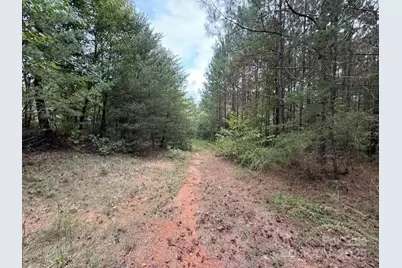 164 Blackburn Drive, Grover, NC 28073 - Photo 6