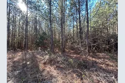 164 Blackburn Drive, Grover, NC 28073 - Photo 24