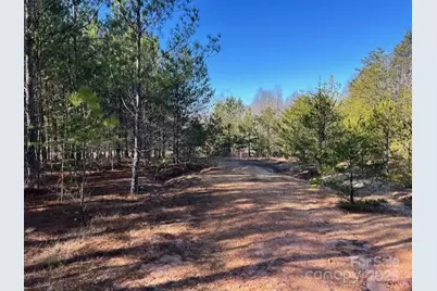 164 Blackburn Drive, Grover, NC 28073 - Photo 30