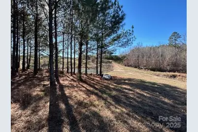 164 Blackburn Drive, Grover, NC 28073 - Photo 32