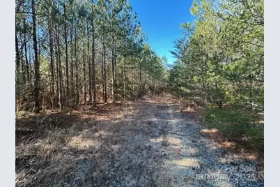 164 Blackburn Drive, Grover, NC 28073 - Photo 22