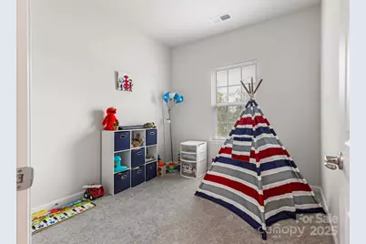 1409 May Apple Drive, Matthews, NC 28104 - Photo 22