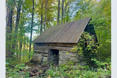 360 Banjo Branch Road, Burnsville, NC 28714 - Photo 34