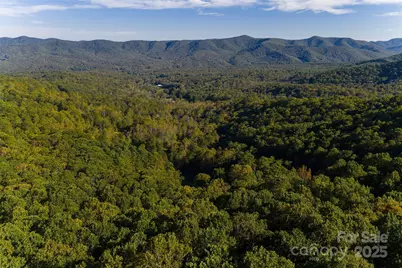 360 Banjo Branch Road, Burnsville, NC 28714 - Photo 46