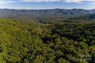 360 Banjo Branch Rd, Burnsville, NC 28714 - Photo 46