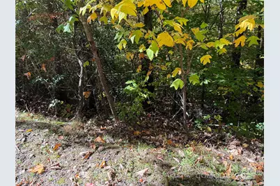 Lot 12 Heritage Ridge Loop, Burnsville, NC 28714 - Photo 8