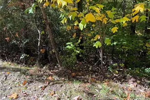 Lot 12 Heritage Ridge Loop, Burnsville, NC 28714 - Photo 8