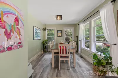 300 Wilson Drive, Brevard, NC 28712 - Photo 6