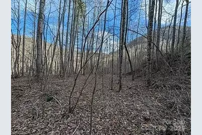 296 Bee Branch Road, Bryson City, NC 28713 - Photo 22