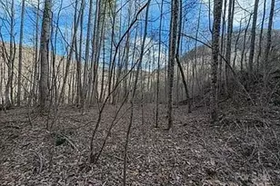 296 Bee Branch Rd, Bryson City, NC 28713 - Photo 22