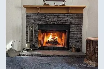 296 Bee Branch Road, Bryson City, NC 28713 - Photo 8