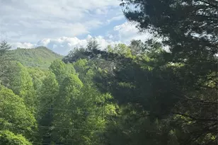 71 Mountain Trace Point, Bryson City, NC 28713 - Photo 28