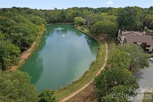 7259 Winery Ln, Charlotte, NC 28227 - Photo 30