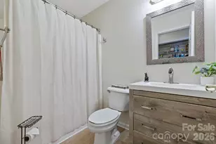 372 Kingfisher Ln, Mills River, NC 28759 - Photo 14