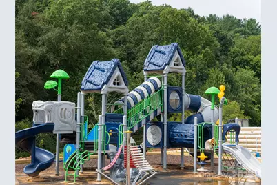 465 Daniel Circle Drive, Mills River, NC 28759 - Photo 36