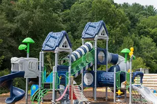 465 Daniel Cir Dr, Mills River, NC 28759 - Photo 36