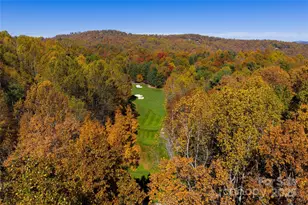 99 Little Cherokee Ridge, Hendersonville, NC 28739 - Photo 24