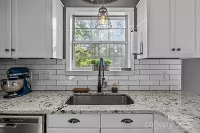 7229 Catawba Springs Road, Denver, NC 28037 - Photo 16