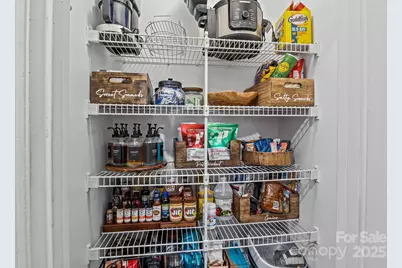 7229 Catawba Springs Road, Denver, NC 28037 - Photo 30