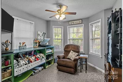 7229 Catawba Springs Road, Denver, NC 28037 - Photo 32