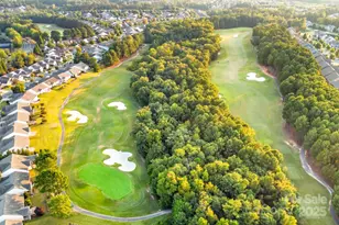 18020 Owl Ct, Indian Land, SC 29707 - Photo 42