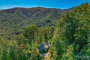 382 Black Oak Cove Rd, Candler, NC 28715 - Photo 8