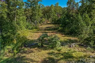 382 Black Oak Cove Rd, Candler, NC 28715 - Photo 46