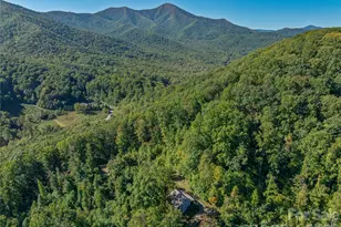 382 Black Oak Cove Rd, Candler, NC 28715 - Photo 44