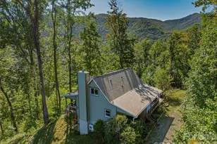 382 Black Oak Cove Rd, Candler, NC 28715 - Photo 4