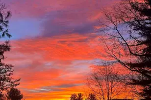 310 Sweetbriar Dr, Hendersonville, NC 28739 - Photo 48