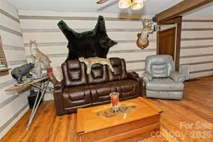 310 Log Gap Rd, Fairview, NC 28730 - Photo 20