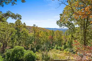 310 Log Gap Rd, Fairview, NC 28730 - Photo 46