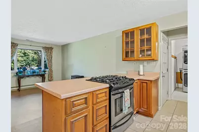 5 West Cove Street, Weaverville, NC 28787 - Photo 18