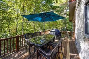 69 Dogwood Branch Ln, Zirconia, NC 28790 - Photo 8