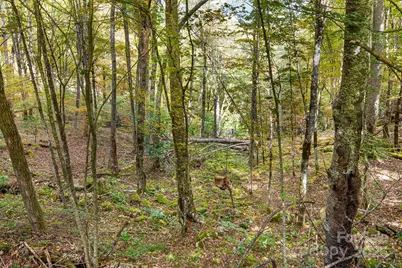 63 Running Cedar Drive #63, 65, 67, Mars Hill, NC 28754 - Photo 10