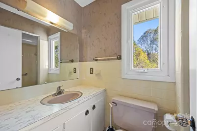 45 Crabapple Lane, Asheville, NC 28804 - Photo 36