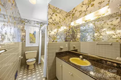 45 Crabapple Lane, Asheville, NC 28804 - Photo 38