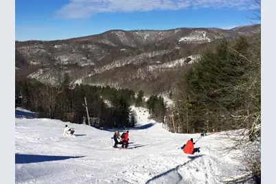 92 Goldenleaf Drive, Mars Hill, NC 28754 - Photo 22