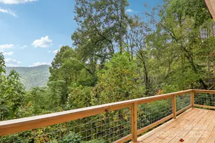 311 Jacks Knob Rd, Barnardsville, NC 28709 - Photo 8