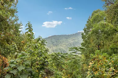 311 Jacks Knob Road, Barnardsville, NC 28709 - Photo 10