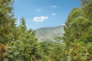 311 Jacks Knob Rd, Barnardsville, NC 28709 - Photo 10