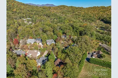 15 Ozark Spring Lane, Asheville, NC 28805 - Photo 46